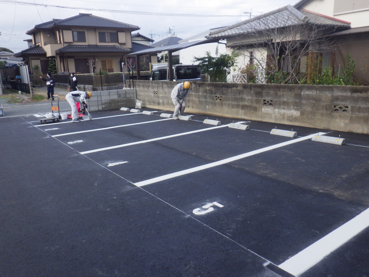 Sample